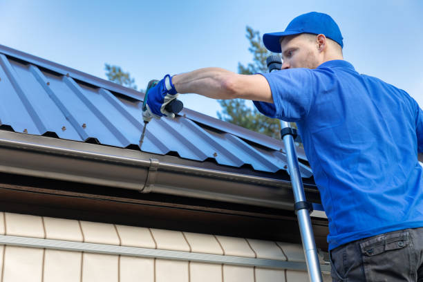 Best Roof Moss and Algae Removal  in Mayville, ND
