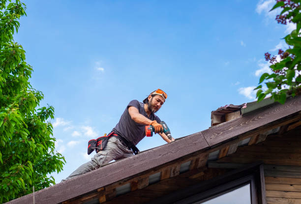 Fast & Reliable Emergency Roof Repairs in Mayville, ND