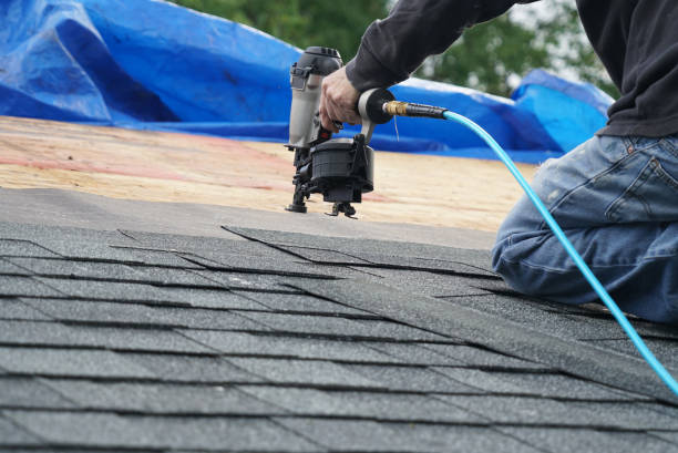 Best Storm Damage Roof Repair  in Mayville, ND