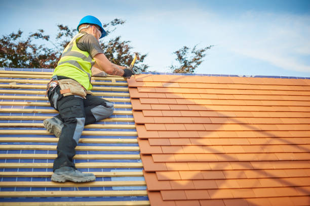 Steel Roofing in Mayville, ND