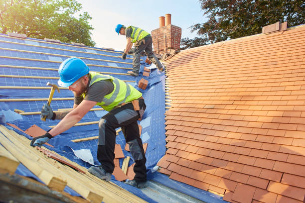 Best Emergency Roof Repair Services  in Mayville, ND